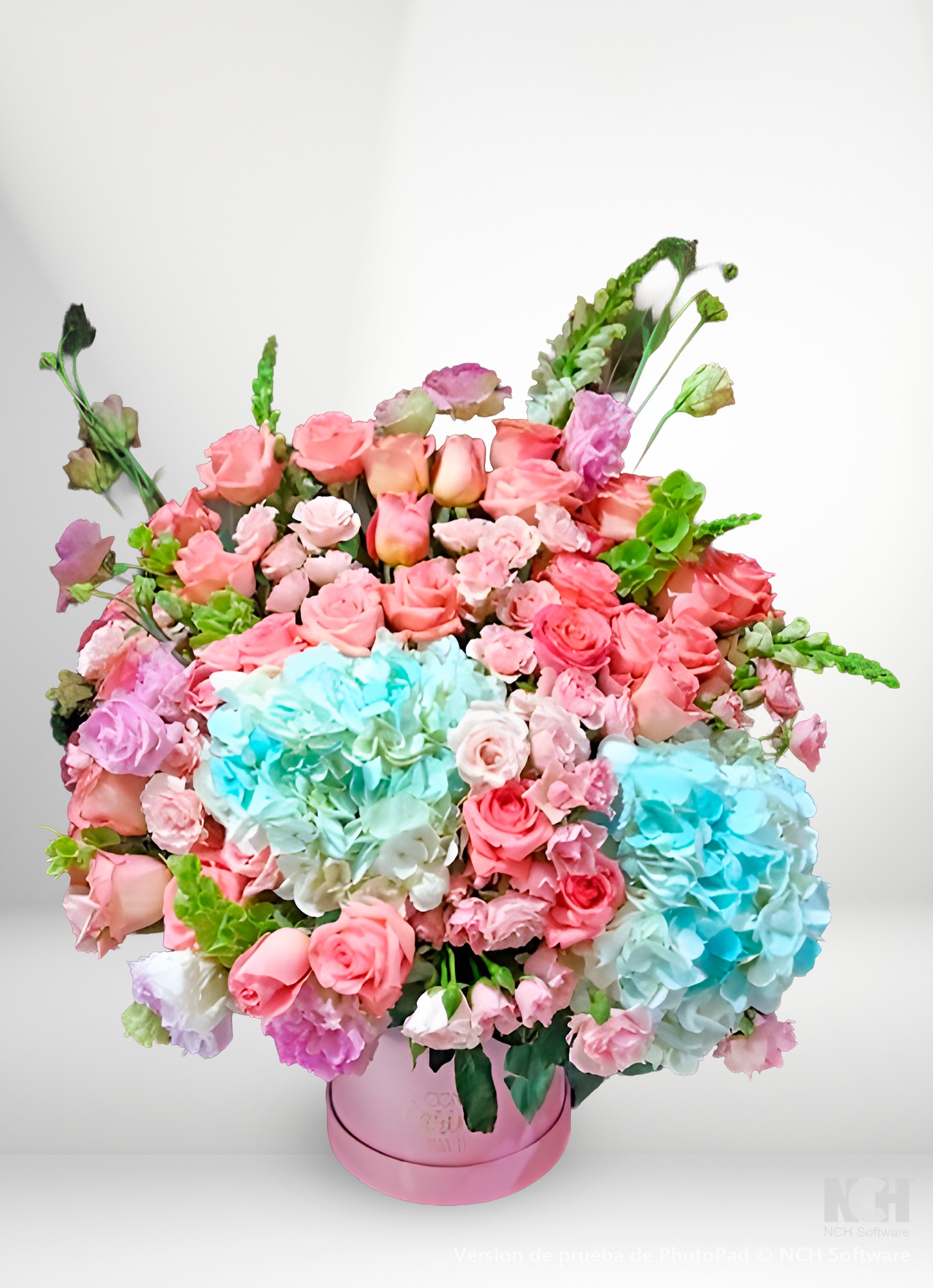 Sorpresa floral