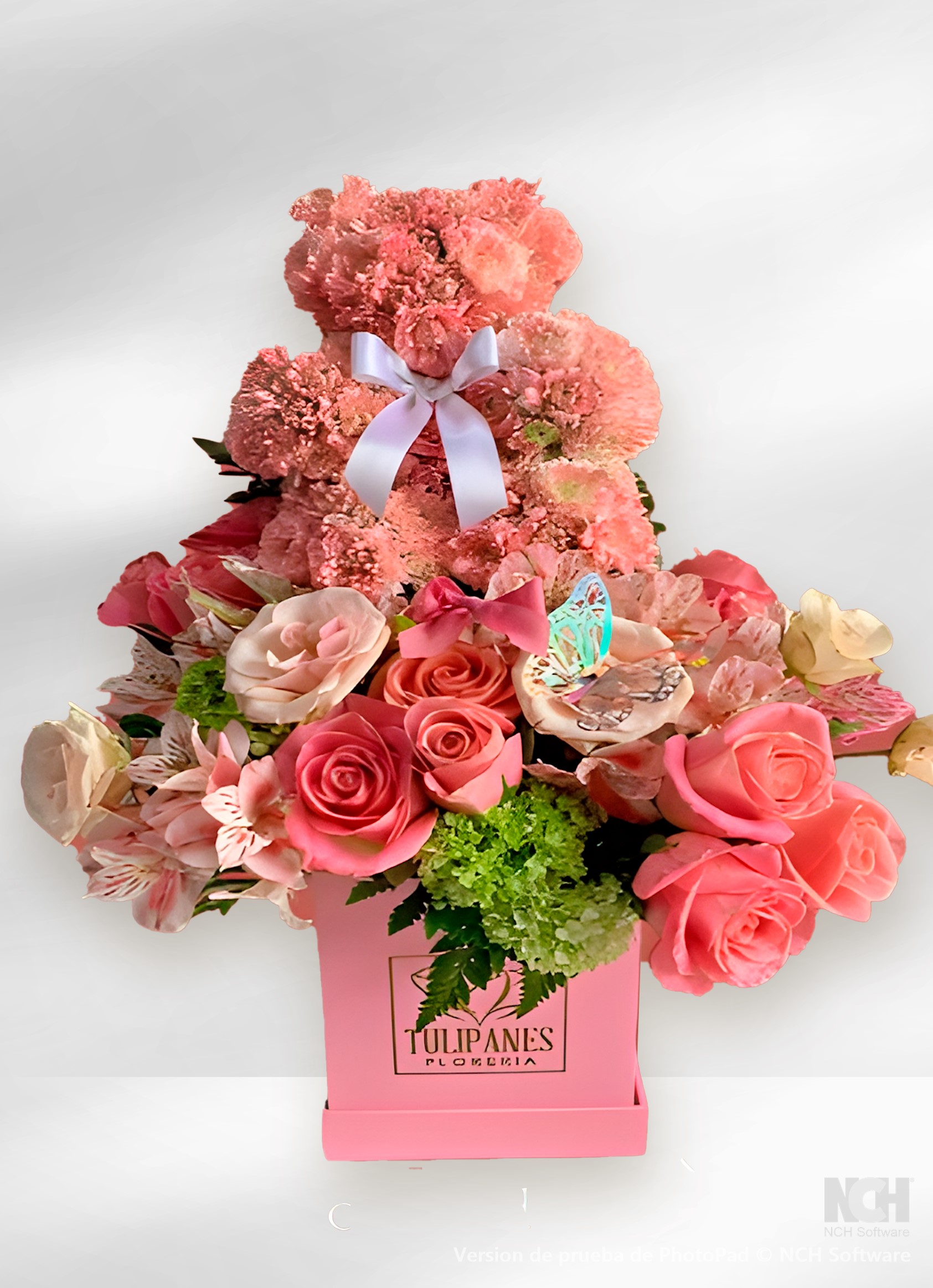OSO ROSAS