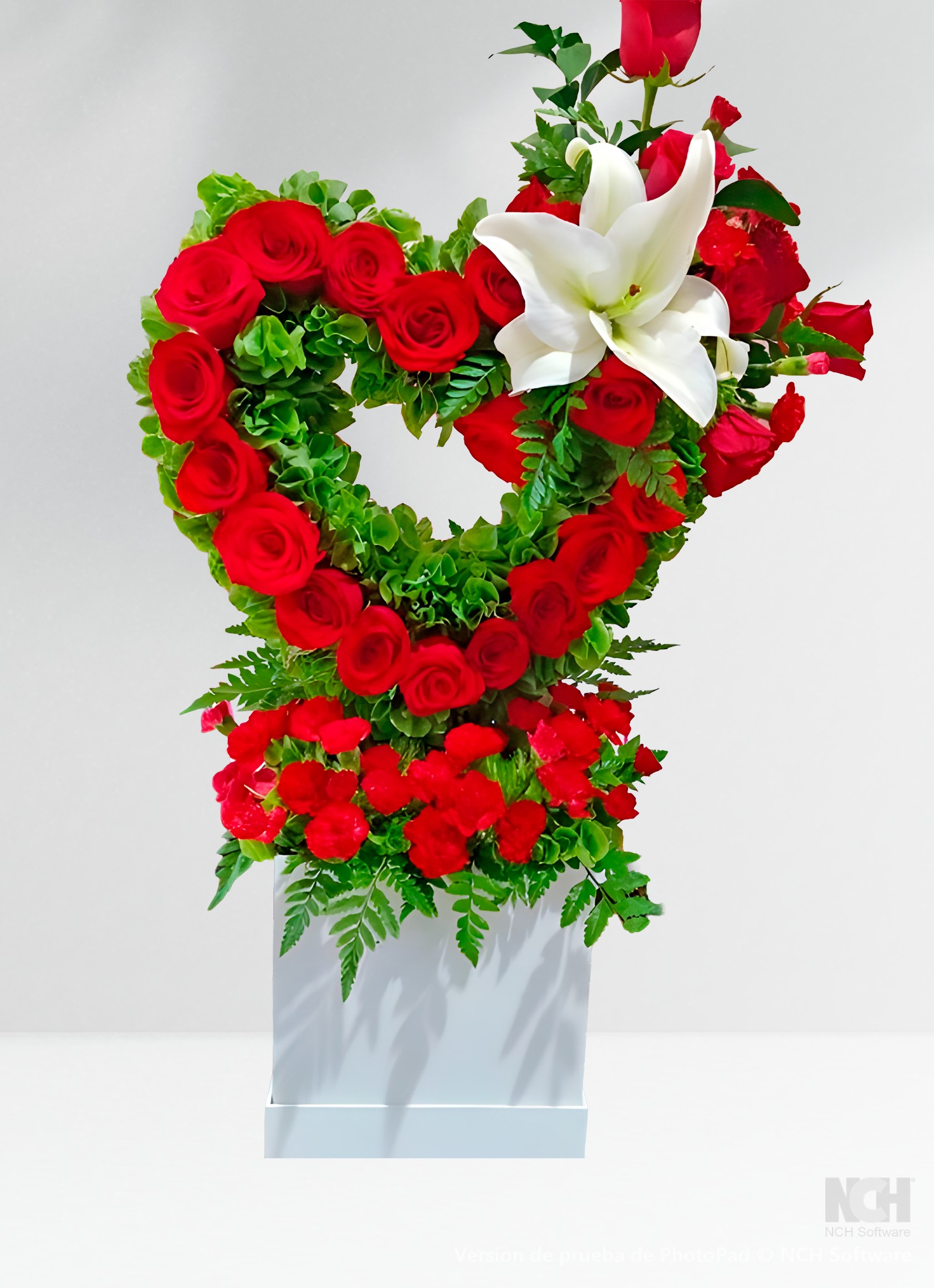 Corazón mío